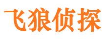 武乡市婚外情调查